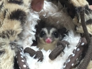 クラシックベビー