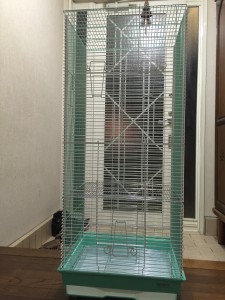 ホーエイ リスケージ